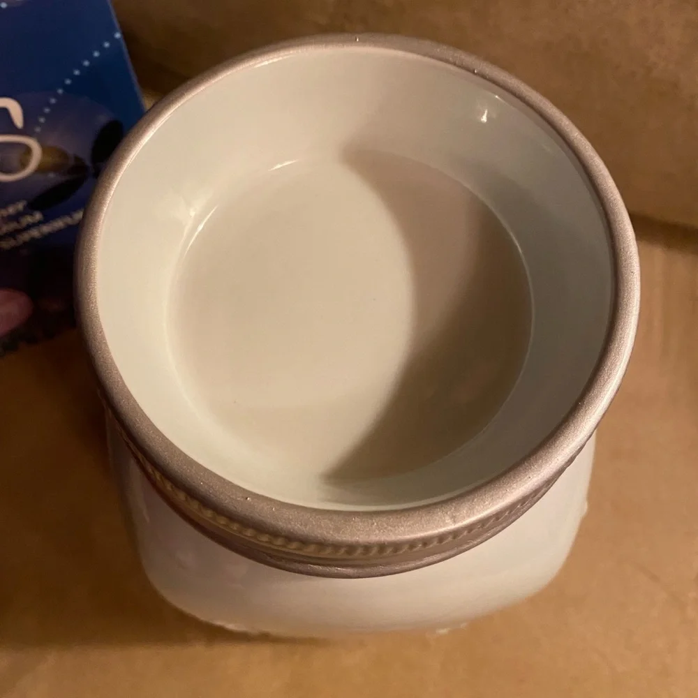 Scentsy Chasing Fireflies Premium Mason Jar Wax Warmer Full Size NIB
